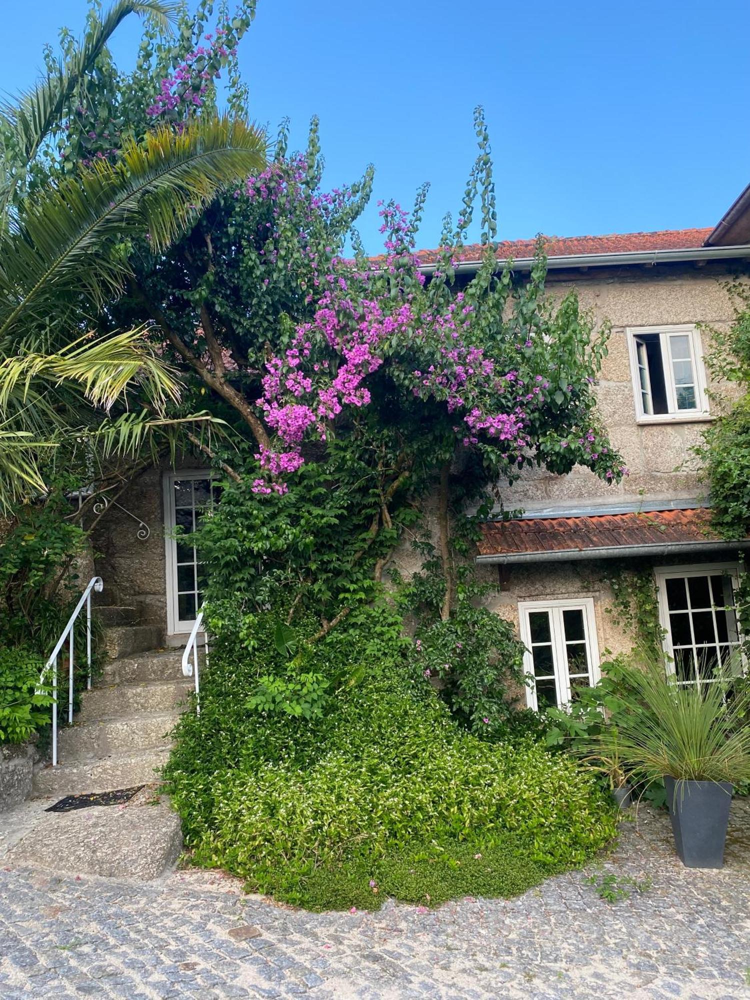 Quinta De Ribas Villa Amarante Exterior photo